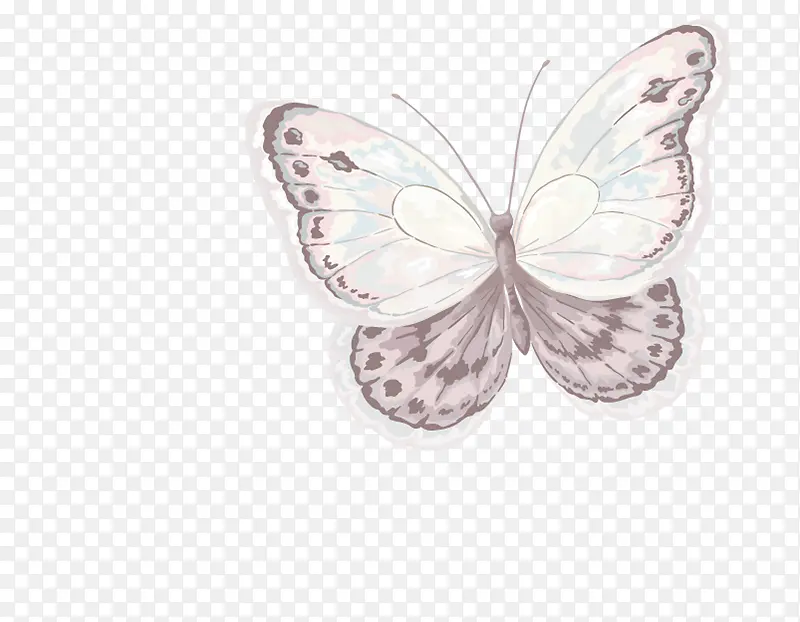 �ֻ����-������