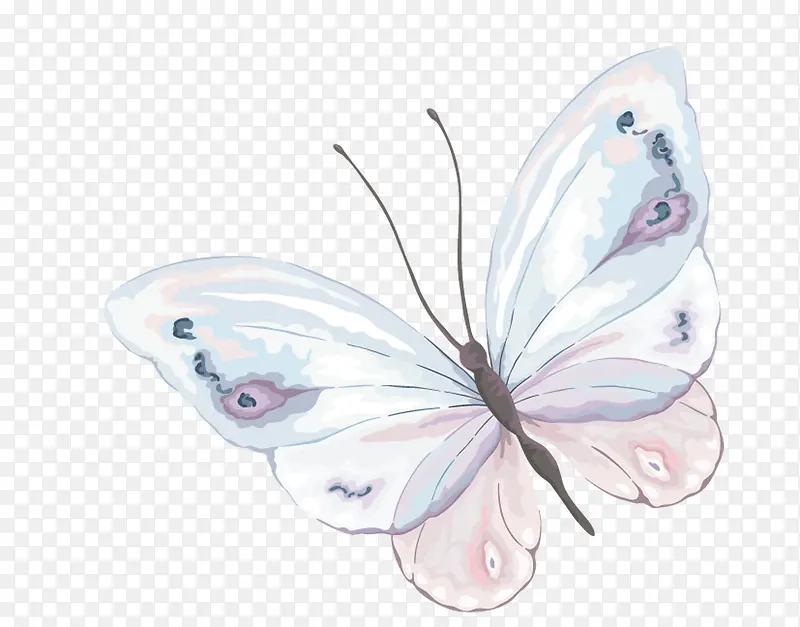 �ֻ����-������