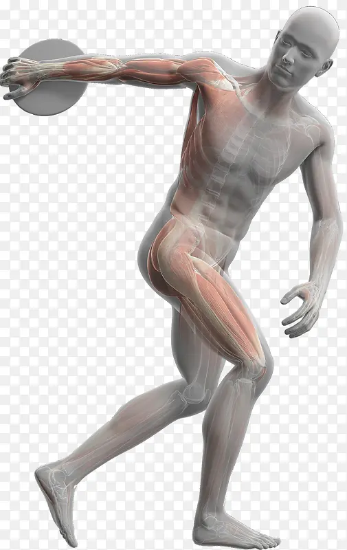 �������˶�-������