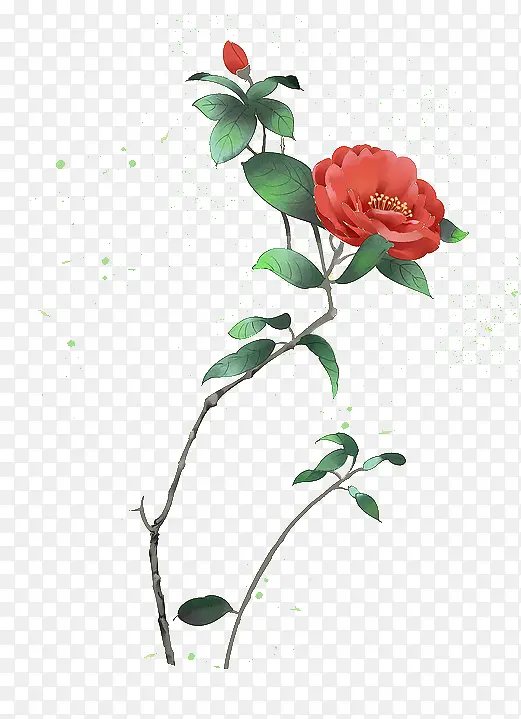 �ֻ��ɫɽ�軨��֦-������