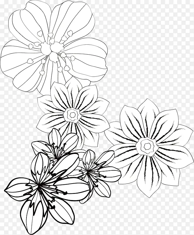 �Գƻ���-������