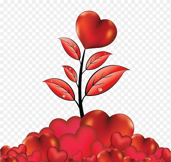 ����С����-������