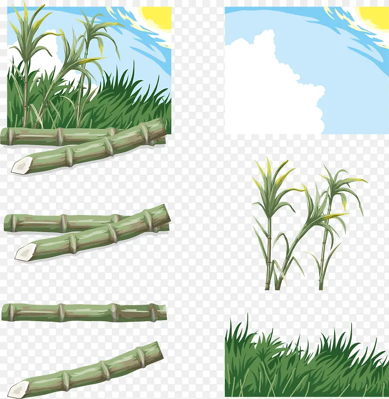 ʸ���ֻ����-������