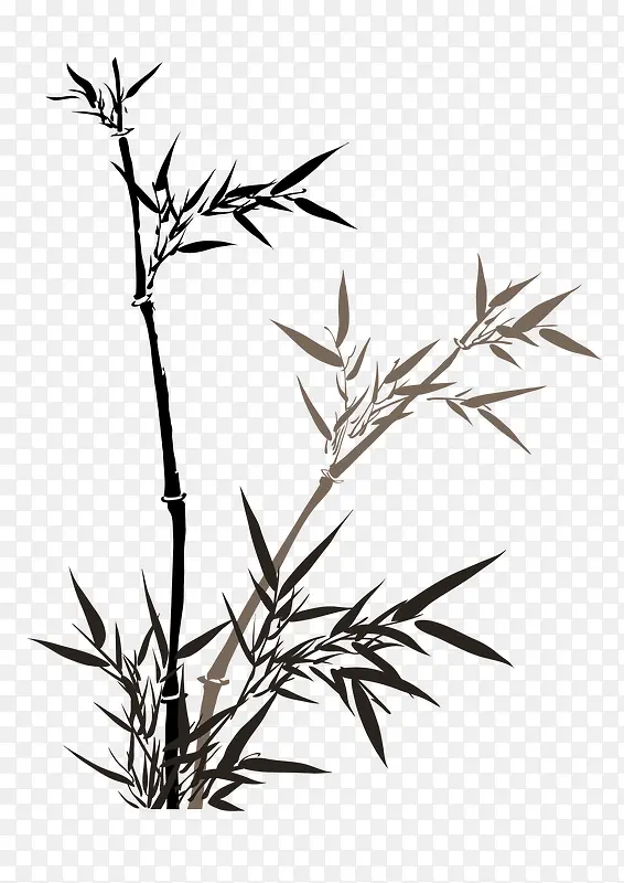 ��ɫī���������-������