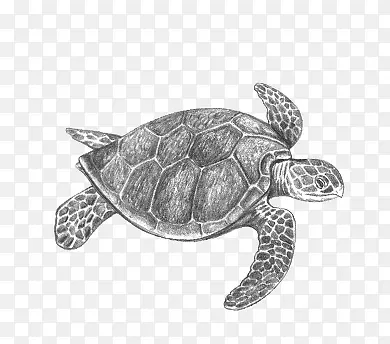 �ֻ��ڹ�-������