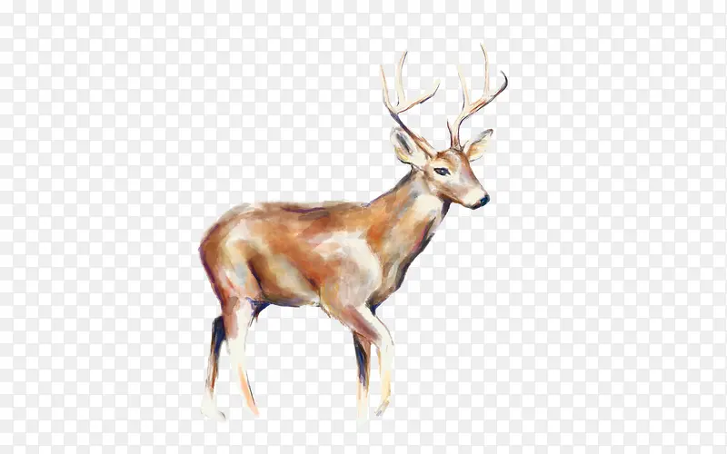 ��ͨ�ֻ���¹-������