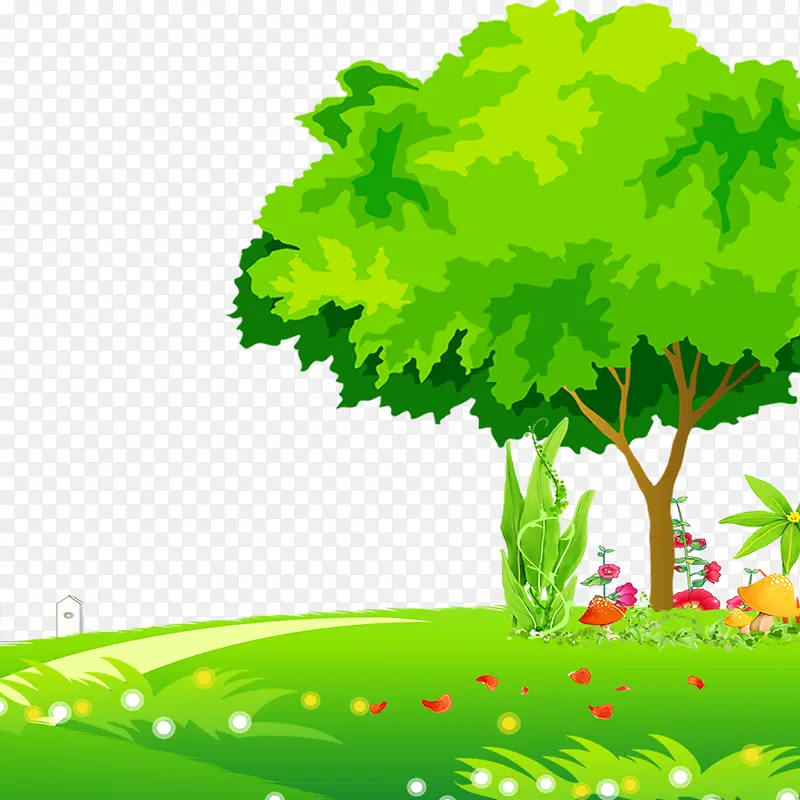 ��ͨ�λòݵ���ľ-������