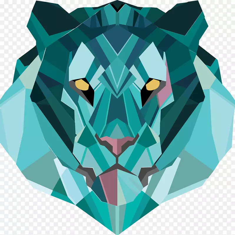 ʨ�Ӽ���ѧ��������һ���İ�-������