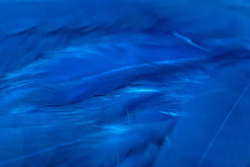 ��ɫ��ë����-������