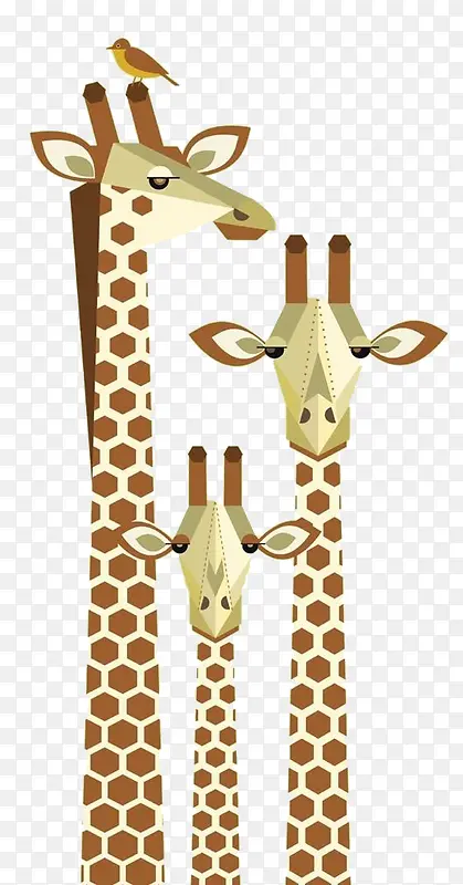 ��ƽ������¹һ��-������