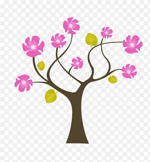 ����С��-������