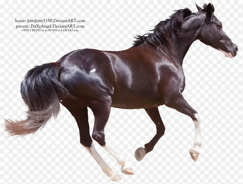 ������Ӱ�������ڵĿ���-������