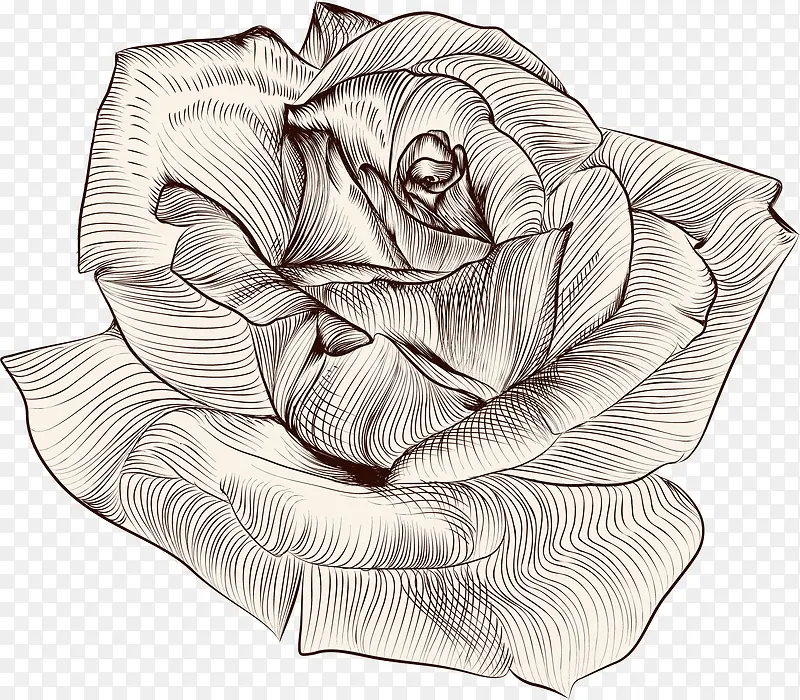 �ֻ滨��-������