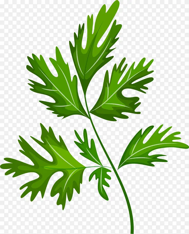 ��ͨ�ֻ��߲�װ�κ���������-������