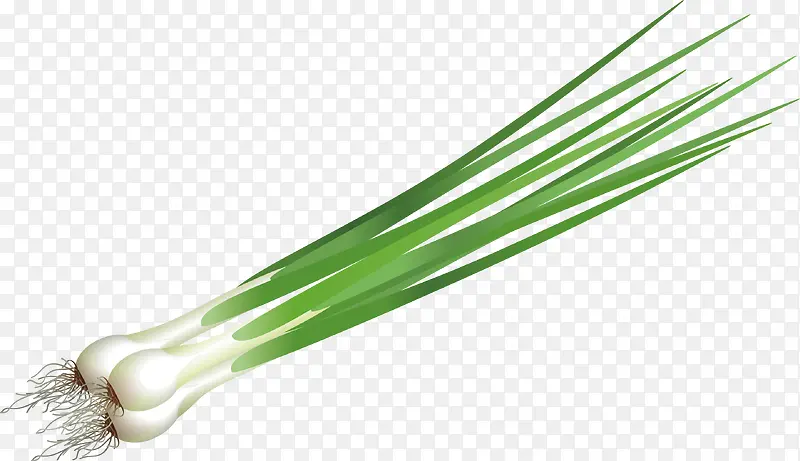 ���װ�����-������