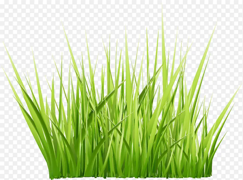 ��ɫ�ݴ�װ��ͼ��-������