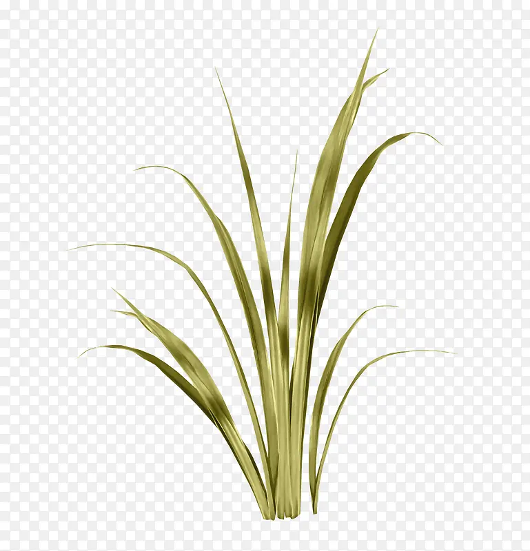 �̲�pngͼƬ-������