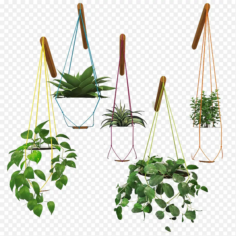 ������ӵ�����-������