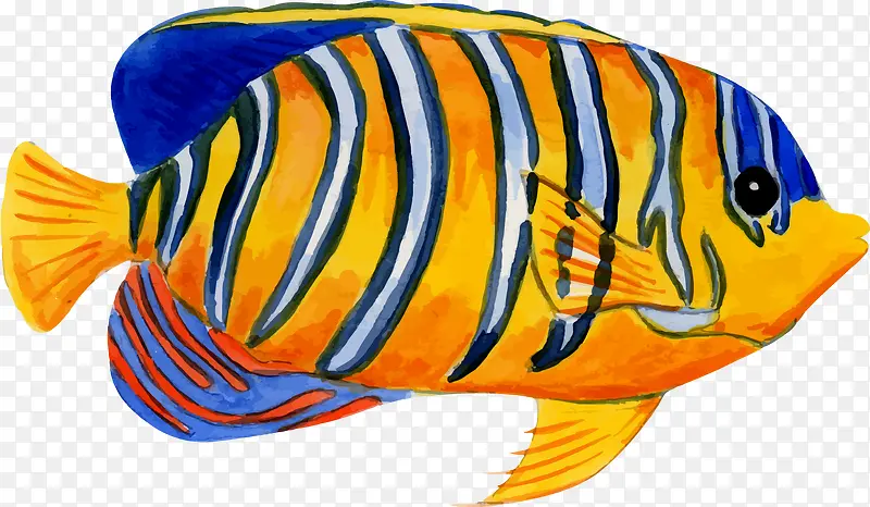 �ֻ溣��������-������