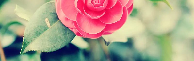 ��Լ�������亣������-������