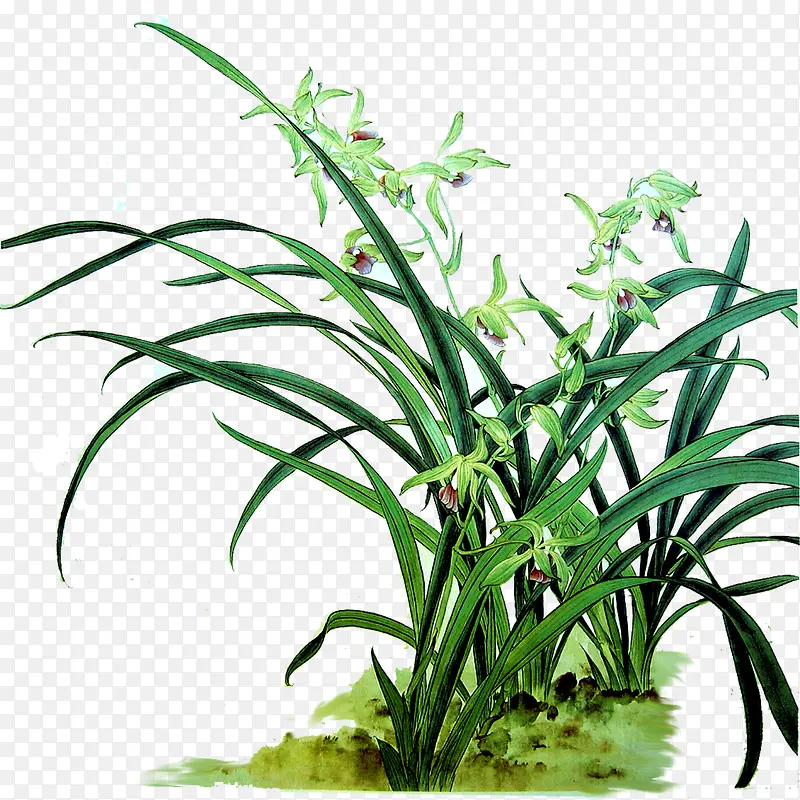 ������-������