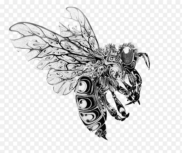 �ڰײ廭�۷�-������