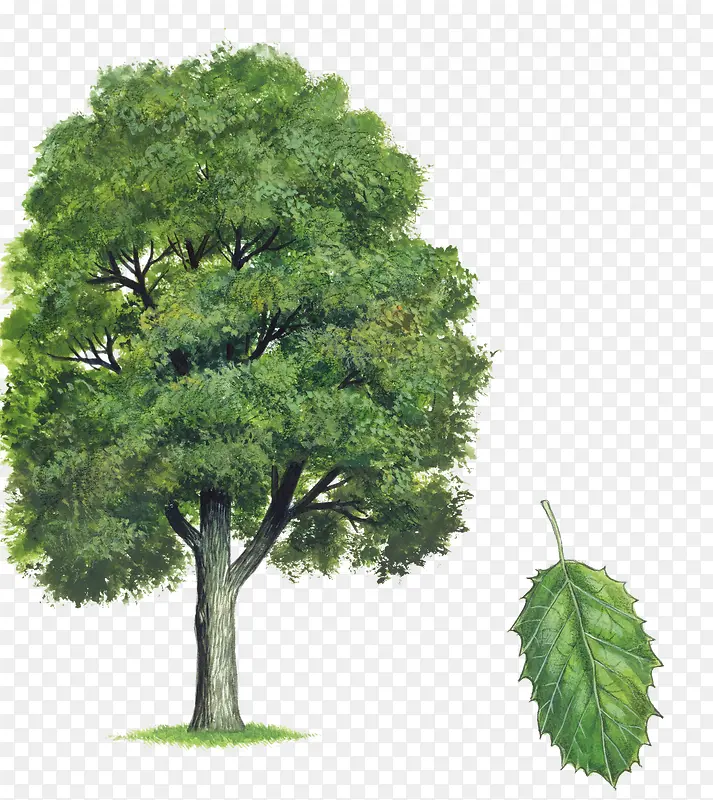 �ǽ��� ������-������