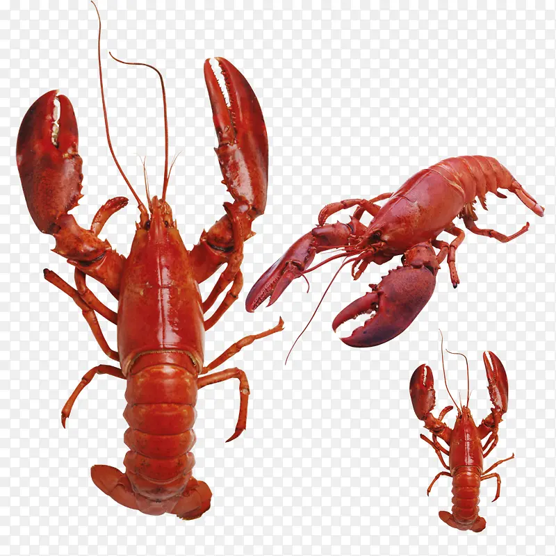 ��ͬ�Ƕȵ���Ϻ-������