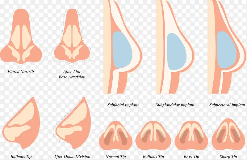 ��ͬ�Ƕȱ���-������