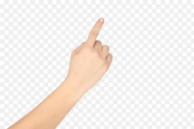 ��ָ�ز�-������