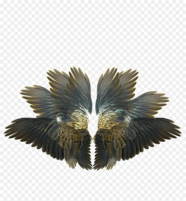 �����ʽ-������