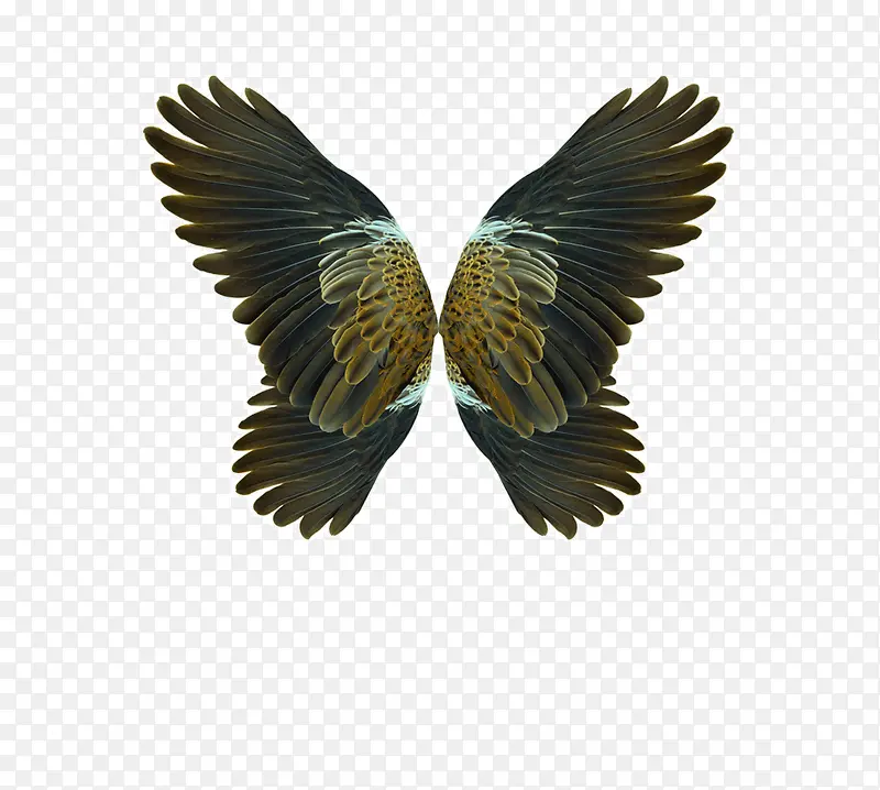 ��ʹ���-������