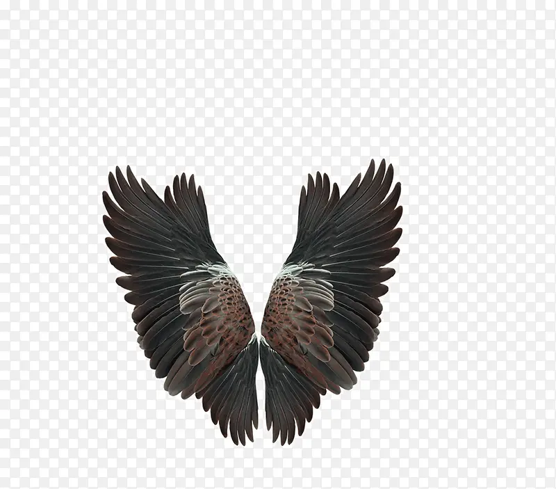 ����ĳ��-������