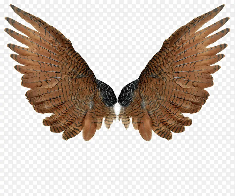 ��ʹ���-������