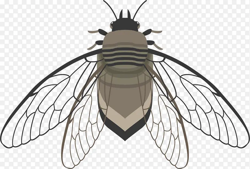 �����۵�ʽ��������-������