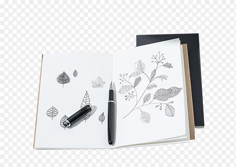 �칫���˱�-������