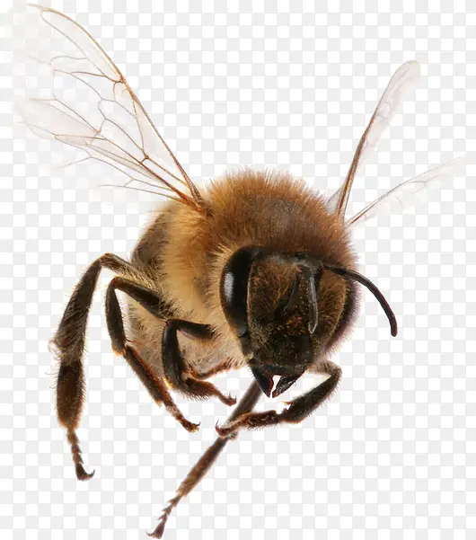 �Ʒ�����-������