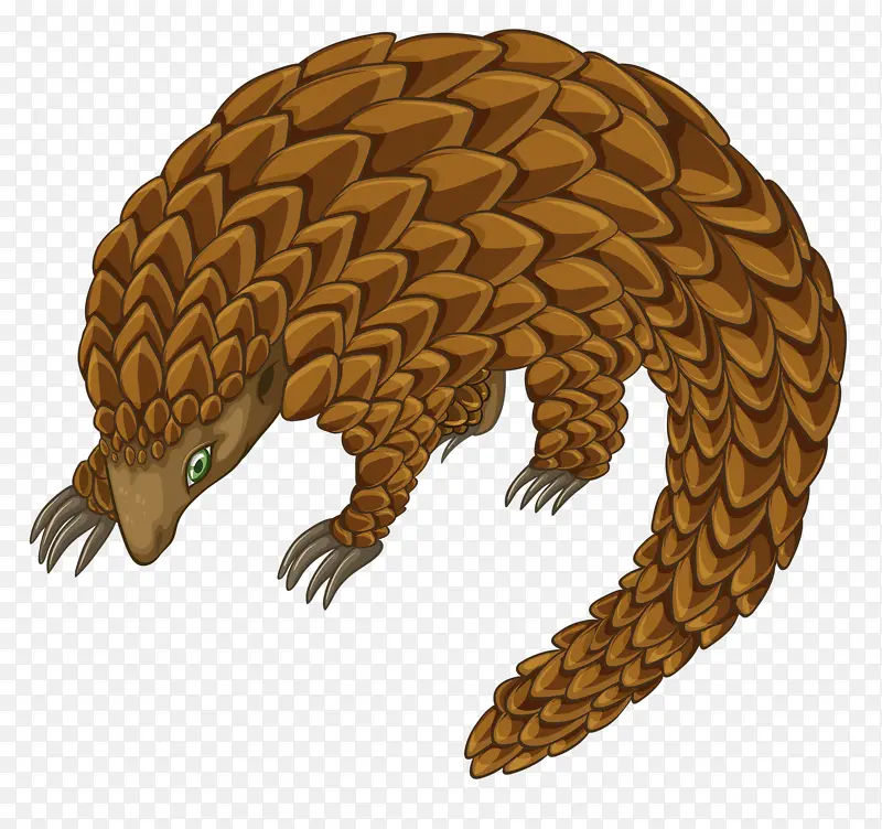 ��ͨ����-������