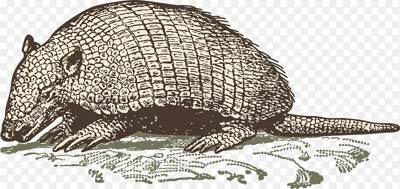 ��ɽ��-������