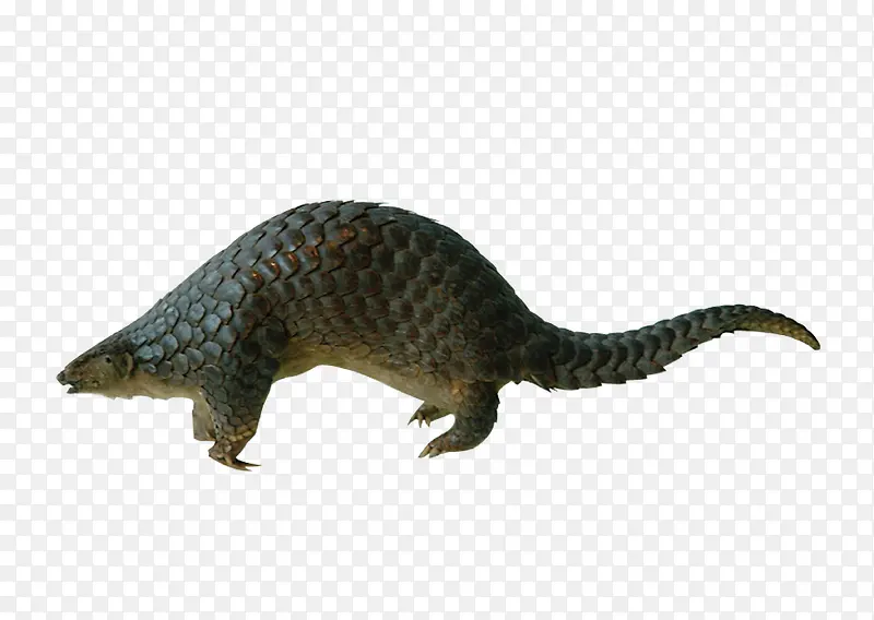 ��ɽ��-������