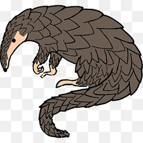 ��ͨ���ɰ���ɽ��-������