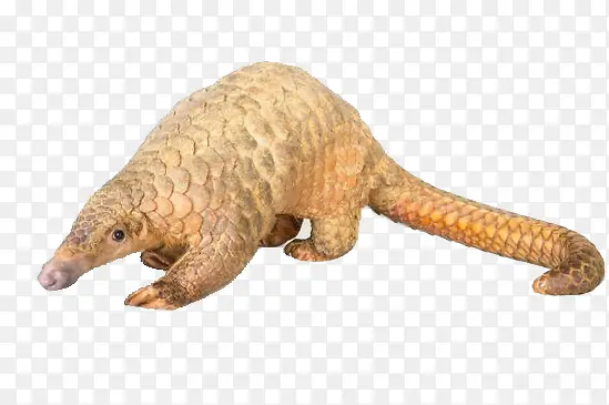 ��ɽ��-������