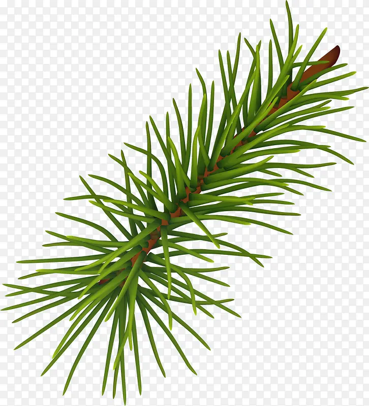 ��ɫ������֦-������