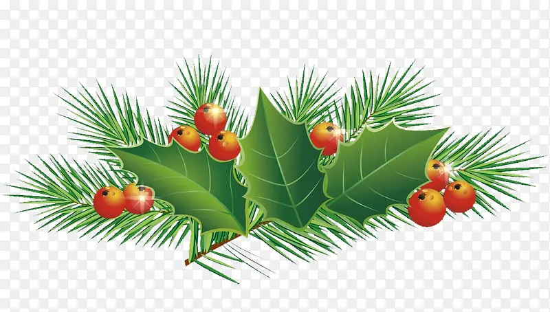 ��ɫʥ����֦-������