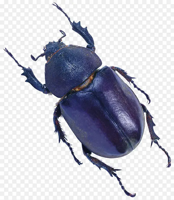 �׳�����-������