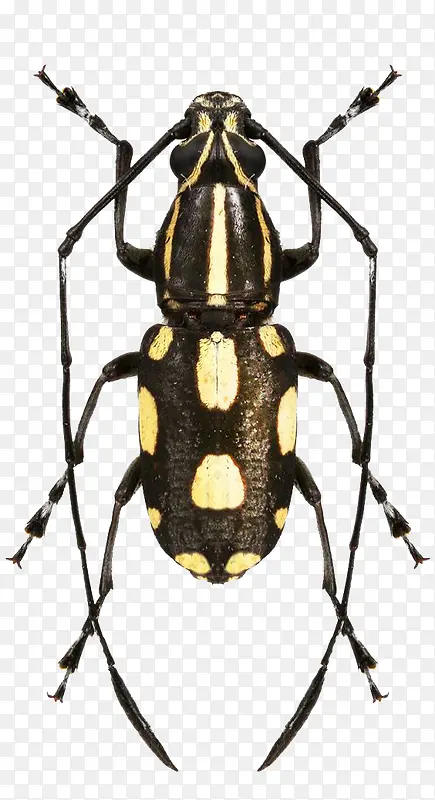 ��������-������