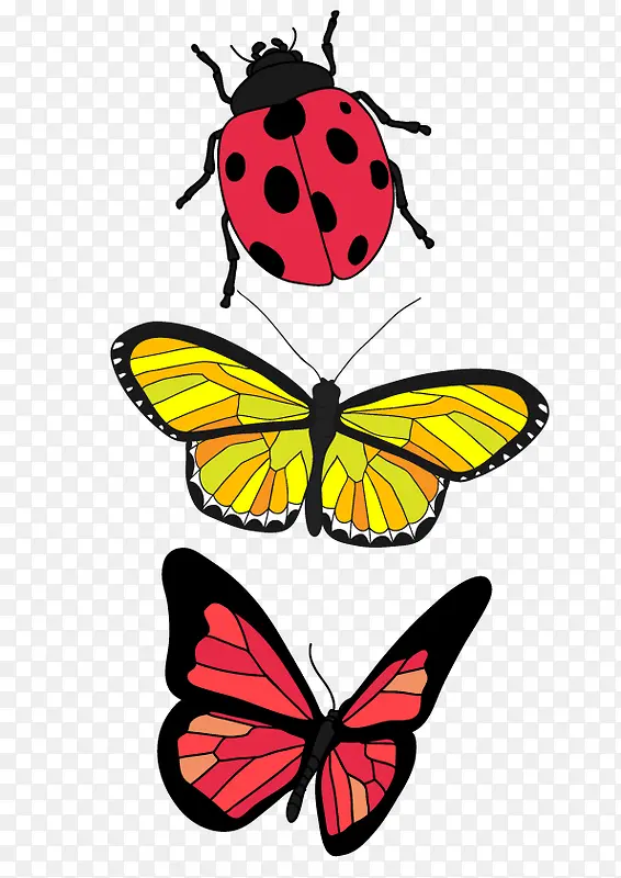 �������ж������-������