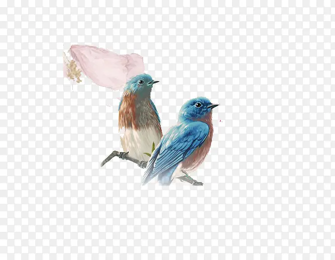 ���軭-������