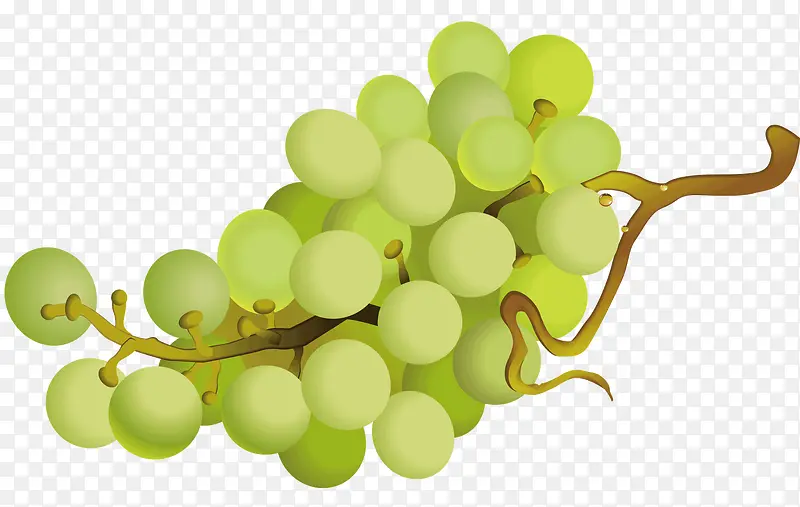 һ����ɫ��ʳ��-������