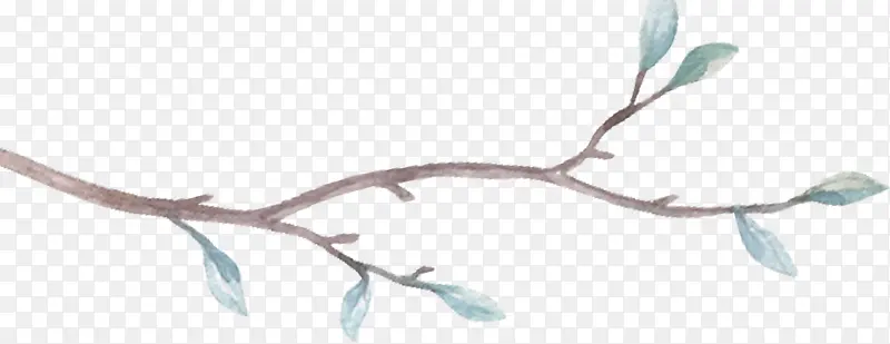 �ֻ���֦�ϵ�С��ѿ-������